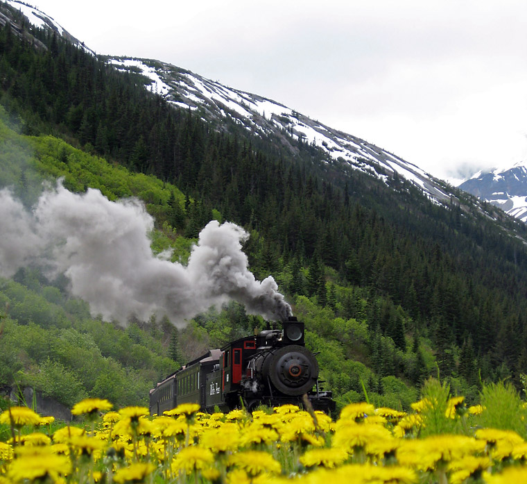 Alaska Steam Train Excursion